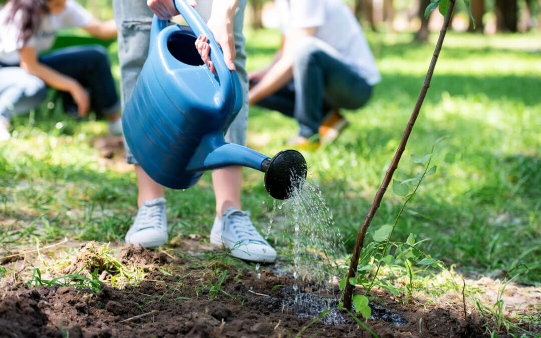 Tree Planting Day At The Park